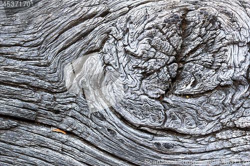 Image of beautiful knot on old oak board