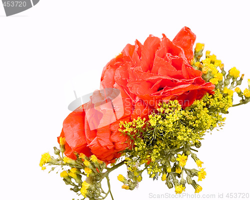 Image of Bouquet