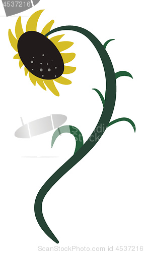 Image of Drawing of a sunflower vector or color illustration