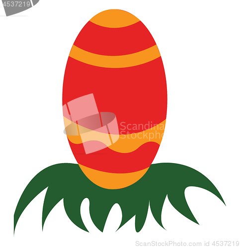 Image of An egg layer on grass vector or color illustration