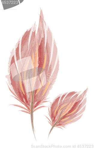 Image of Brown water color feather painting vector or color illustration