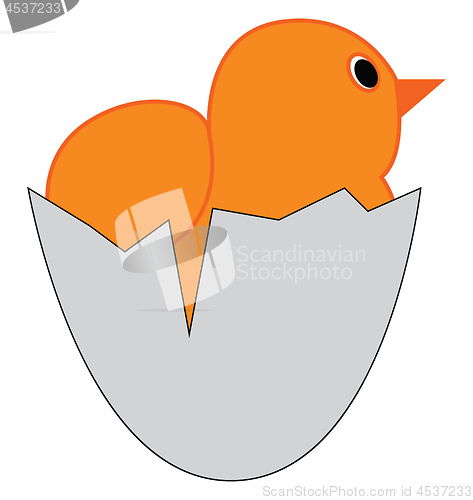 Image of Yellow chick in an egg shell vector illustration on white backgr