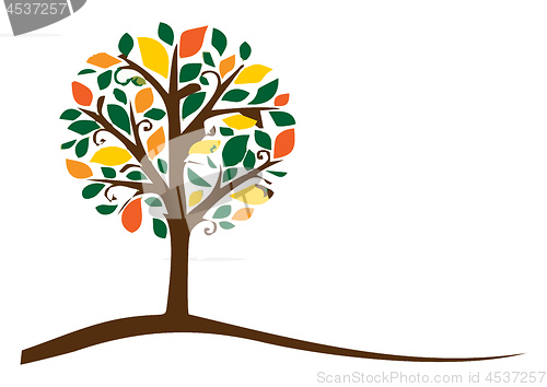 Image of A tree with autumn foliage vector or color illustration