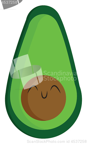 Image of Half-cut ripe green avocado vector or color illustration