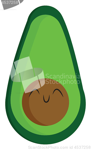Image of Half-cut ripe green avocado vector or color illustration
