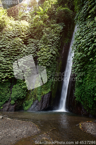 Image of a waterfall in Bali Indonesia