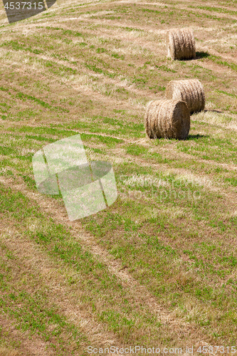 Image of some straw bales on a field in Marche Italy