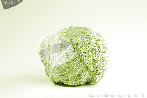 Image of Green cabbage vegetable