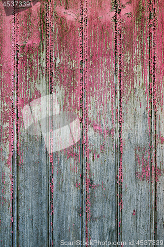 Image of Old wooden pink door grunge texture.