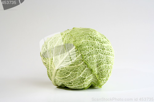 Image of Green cabbage vegetable