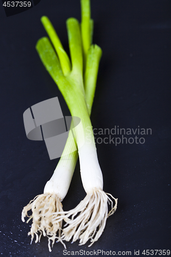 Image of Fresh organic green onion on wet black background.