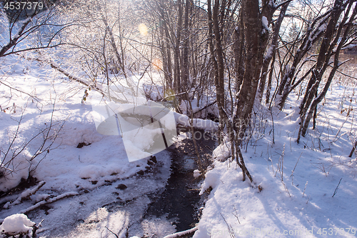 Image of small river in the winter forest