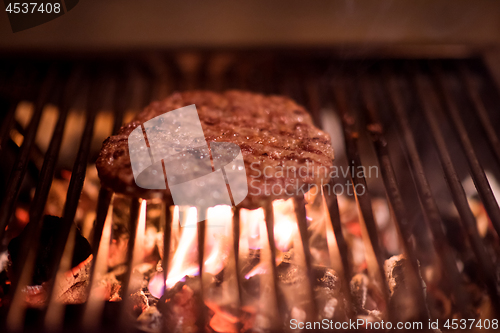 Image of delicious grilled meat on barbecue