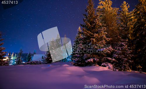 Image of Beautiful winter night landscape