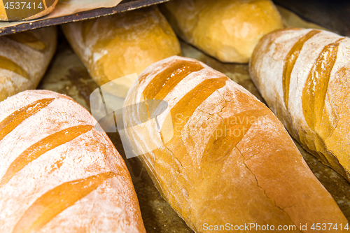 Image of bread bakery food factory production with fresh products