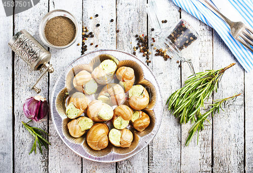 Image of snails
