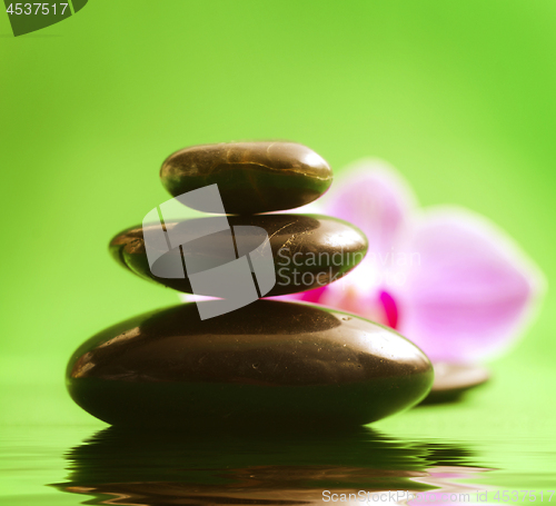 Image of Orchid and black basalt for spa on green background