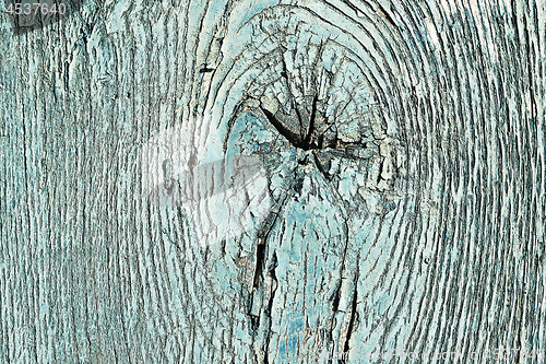 Image of spruce wood texture with knot
