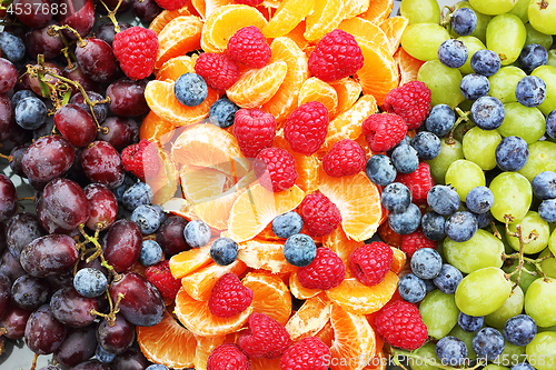 Image of bunch of forest fruits