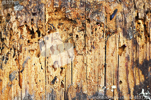 Image of wooden background of decayed plank