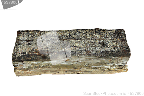 Image of isolated piece of wood decayed by dry rot