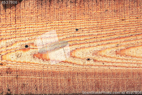 Image of detail of tangential section on spruce plank