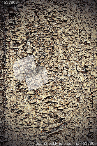 Image of cracked old paint layer on wood plank