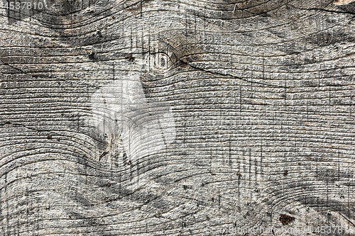 Image of elm wood board texture 1