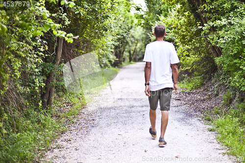 Image of Man walking on path in summer green park. 