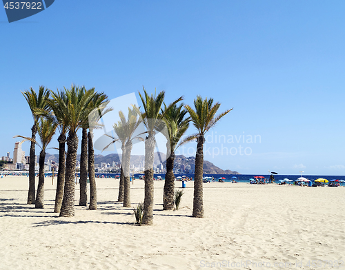 Image of Poniente beach in Benidorm