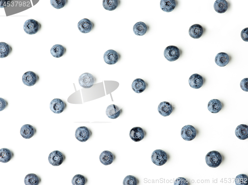 Image of blueberry pattern on white background