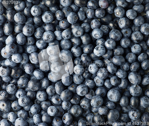 Image of background of fresh blueberries