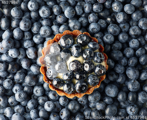 Image of blueberry tart on fresh blueberries background