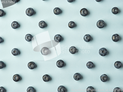 Image of blueberry pattern on blue background