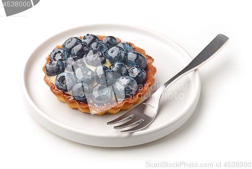 Image of blueberry tart on white background