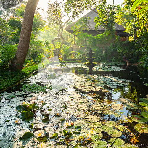 Image of Ornamental pond and fountain in a garden in Bali