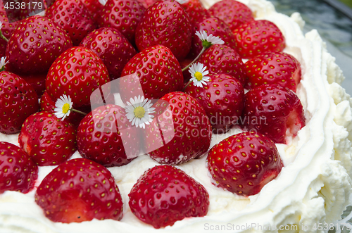 Image of Strawberry cake detail