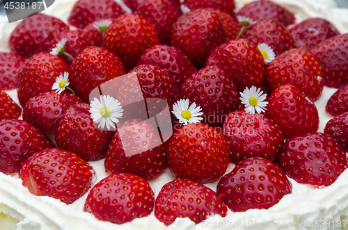 Image of Fresh strawberry cake closeup