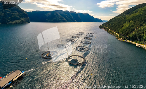 Image of Farm salmon fishing in Norway