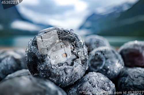 Image of Blueberry antioxidants on a wooden table on a background of Norw