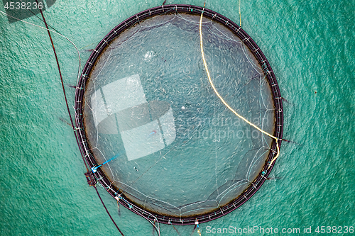 Image of Farm salmon fishing in Norway