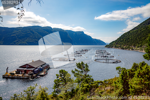 Image of Farm salmon fishing in Norway