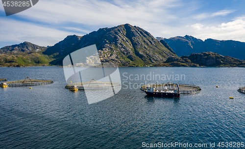 Image of Farm salmon fishing in Norway