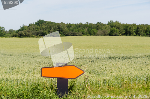 Image of Turn right road sign in a farmers field