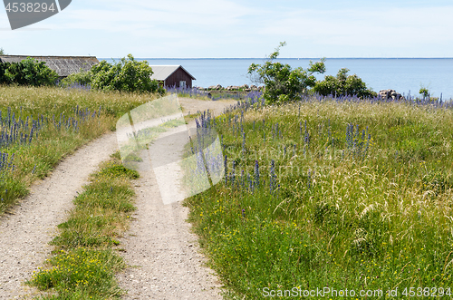 Image of Beautiful gravel road to the coast in summer season