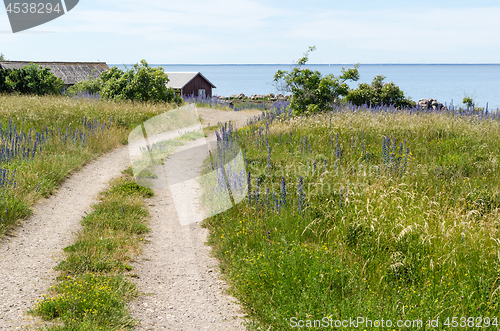 Image of Beautiful gravel road to the coast in summer season