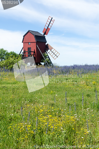 Image of Yellow and blue summer flowers by an old traditional windmill at