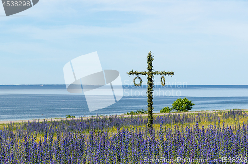 Image of Maypole in a blossom blue field by the coast in Sweden
