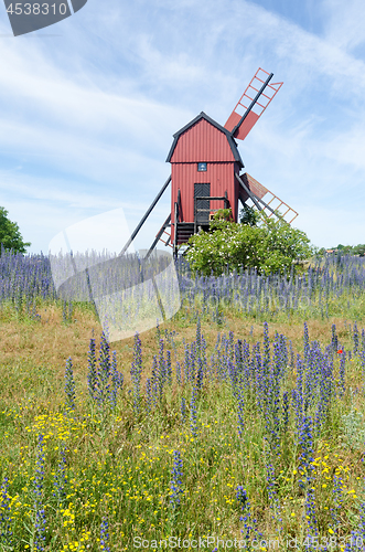 Image of Summer flowers by an old wooden windmill