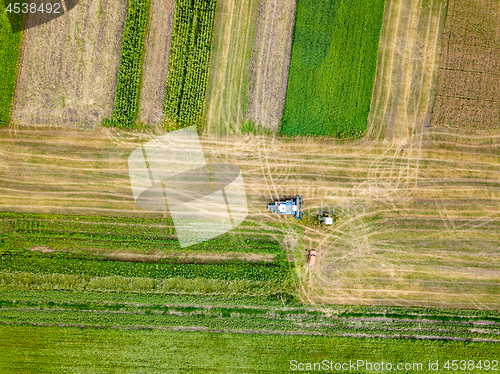 Image of Panoramic view of combine harvester reaps a crop in the field. Top view from drone.